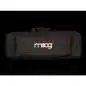Moog Housse Theremini