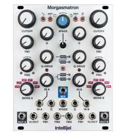 Intellijel Morgasmatron