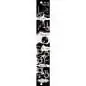 Noise Engineering Viol Ruina Black