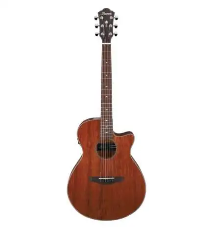 Ibanez AEG220-LGS Natural Low Gloss