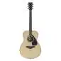 Yamaha FS 830 NT