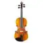 Stentor 4/4 Violine Arcadia Stentor 4/4 Violine Arcadia