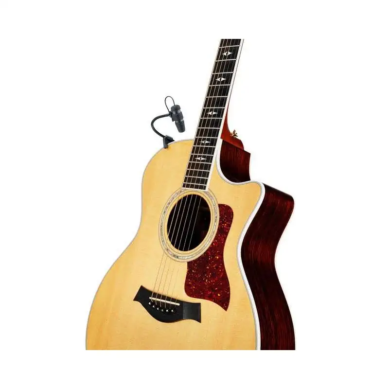 DPA d:vote CORE 4099G Guitar