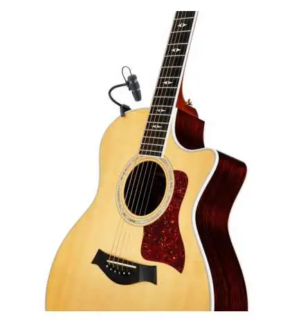 DPA d vote CORE 4099G Guitar