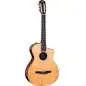 Taylor 212ce-N Plus