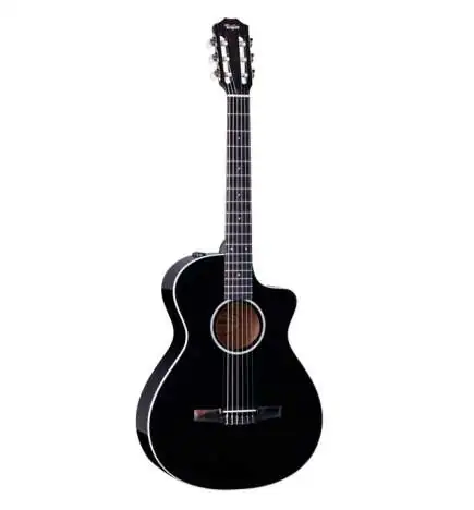 Taylor 212ce-N BLK Plus LTD