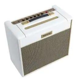 Marshall Studio Vintage SV20C Combo White Elephant Grain