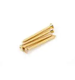 Fender Neck Screws Gold Phillips