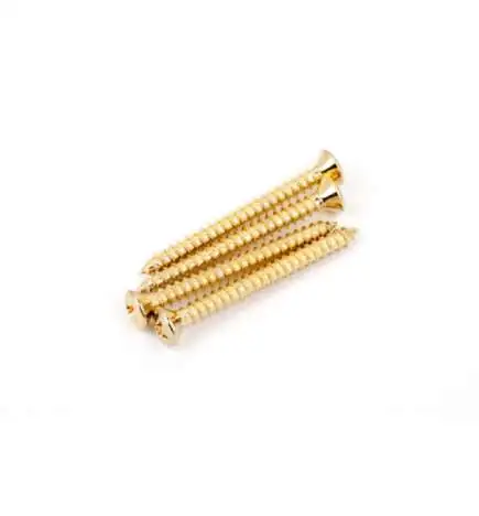 Fender Neck Screws Gold Phillips