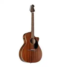 Fender Newporter Special Natural