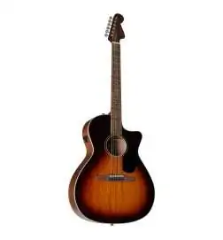 Fender Newporter Special Honey Burst