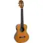 Flight Diana Soundwave Tenor Ukulele