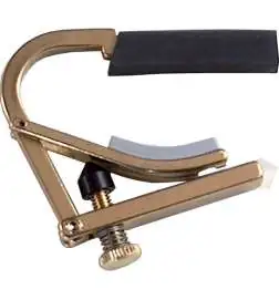 Shubb Capodaster C8b Partial messing