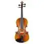 Stentor 4/4 Violine Messina