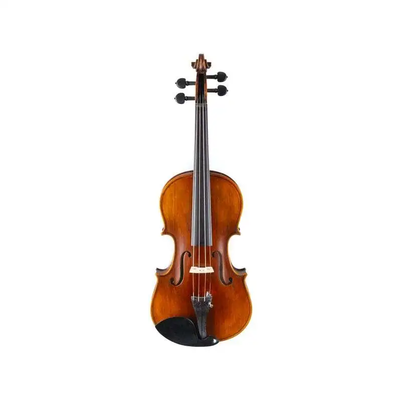 Stentor 4/4 Violine Elysia