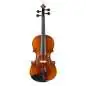 Stentor 4/4 Violine Elysia