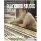 Steven Slate Blackbird Exp für SSD License Code