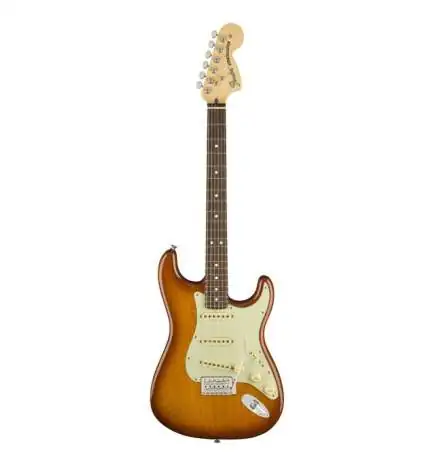Fender American Performer Stratocaster RW (Honey Burst)