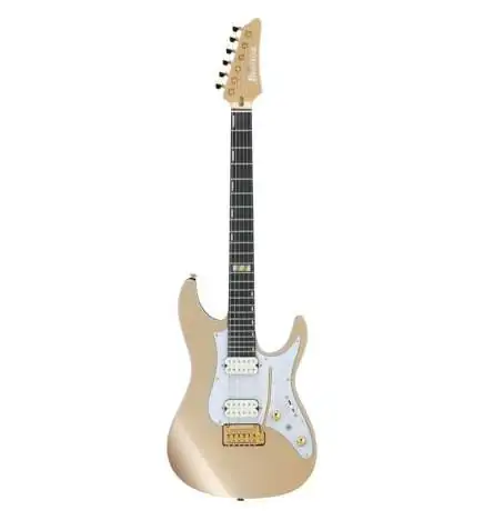 Ibanez Scott LePage KRYS10