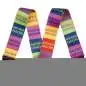 Fender MonoNeon Logo Strap Multi-Color