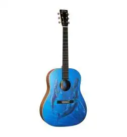 Martin Guitars DSS Biosphere II