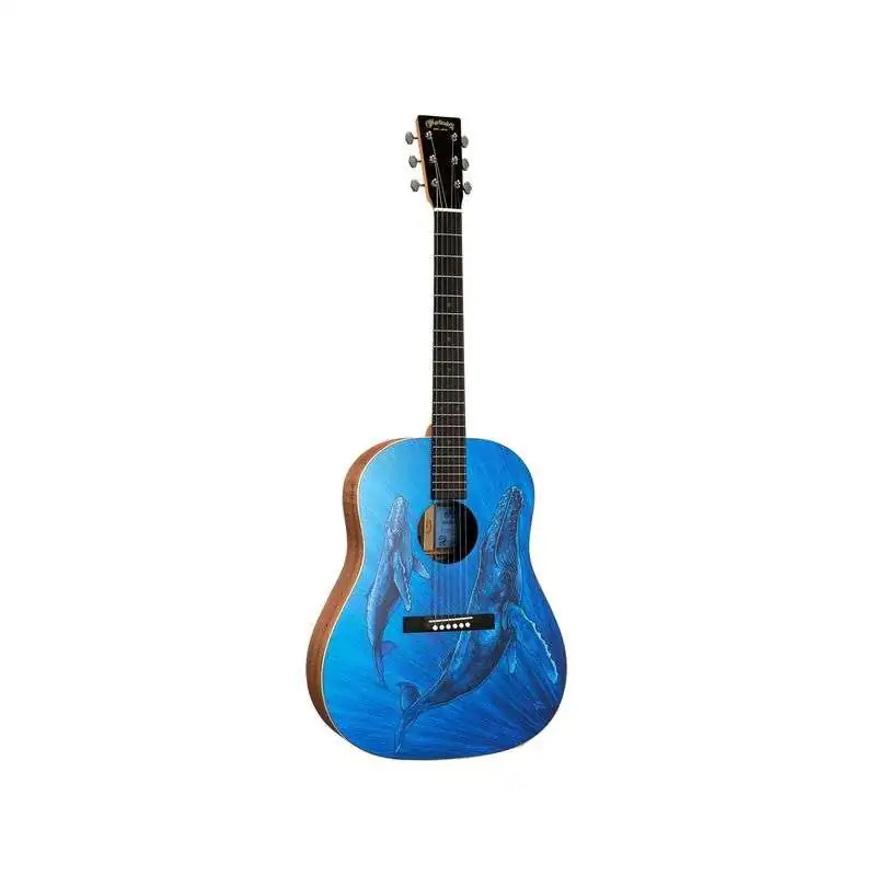 Martin Guitars DSS Biosphere II