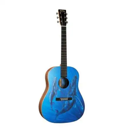 Martin Guitars DSS Biosphere II