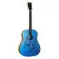 Martin Guitars DSS Biosphere II