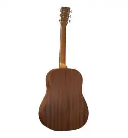Martin Guitars DSS Biosphere II