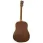 Martin Guitars DSS Biosphere II