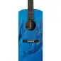 Martin Guitars DSS Biosphere II