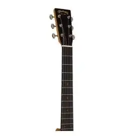 Martin Guitars DSS Biosphere II
