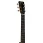 Martin Guitars DSS Biosphere II