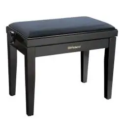 Roland RPB-220BK Pianobank