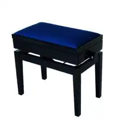 Burghardt B8 Banco de piano