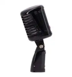 CAD Audio A77 Schwarz Dynamic Microphone