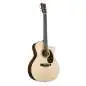Martin Guitars GPC-16E