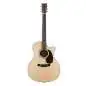 Martin Guitars GPC-16E