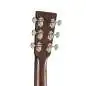 Martin Guitars GPC-16E