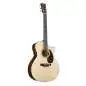 Martin Guitars GPC-16E