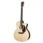 Martin Guitars GPC-16E