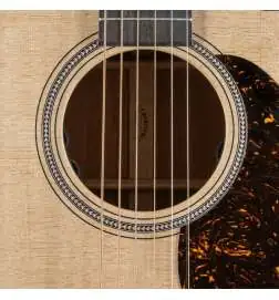 Martin Guitars GPC-16E