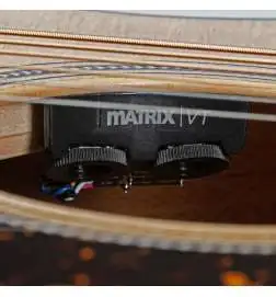 Martin Guitars GPC-16E