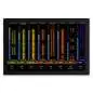 Avid CDM Channel Display Modul