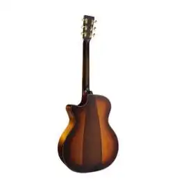 Martin Guitars GPCE Inception