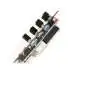 Noise Engineering Loquelic Iteritas (Black)