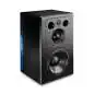 Quested VQ3110 Aktiver Studiomonitor