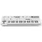 UDO Audio Super 6 White Special Edition Synth UDO Audio Super 6 White Special Edition Synth