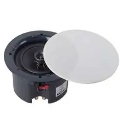 Visaton DL 25 - 100 V