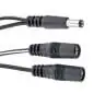 Voodoo-Lab PPAV Output Signal Splitter